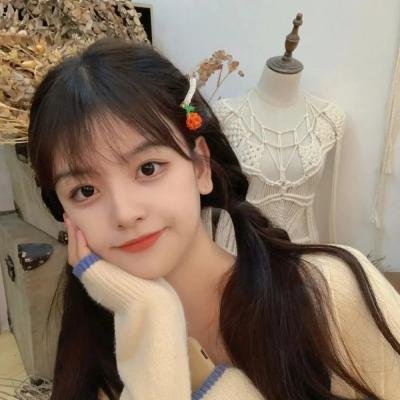 龙之家族第一季