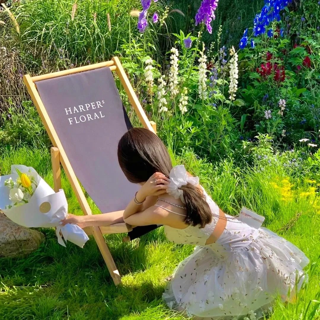 我是神王爱吃鱼